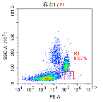 Anti-huCD34 Image 3