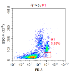 Anti-huCD34 Image 5