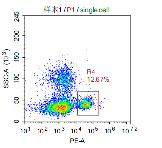 Anti-huCD56 Image 2